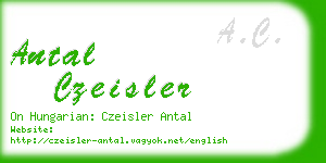 antal czeisler business card